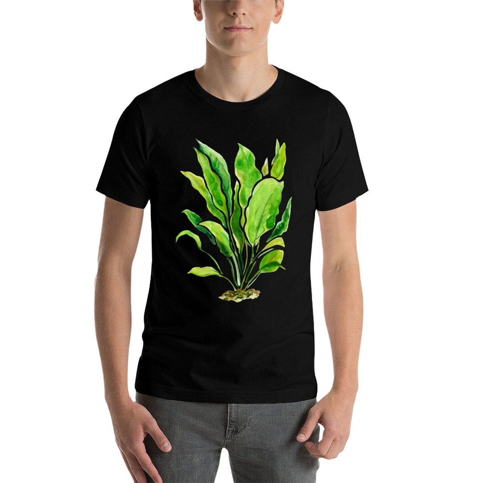 Aquarium Plants Series Amazon  – Planted Aquarium Basics Bewertung und Preis