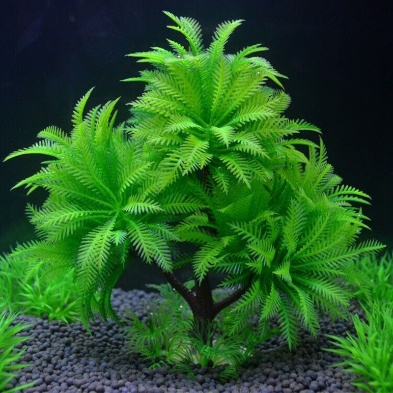 Aquarium dekorative Simulation – Aquarium Plant Guide Bewertung und Preis