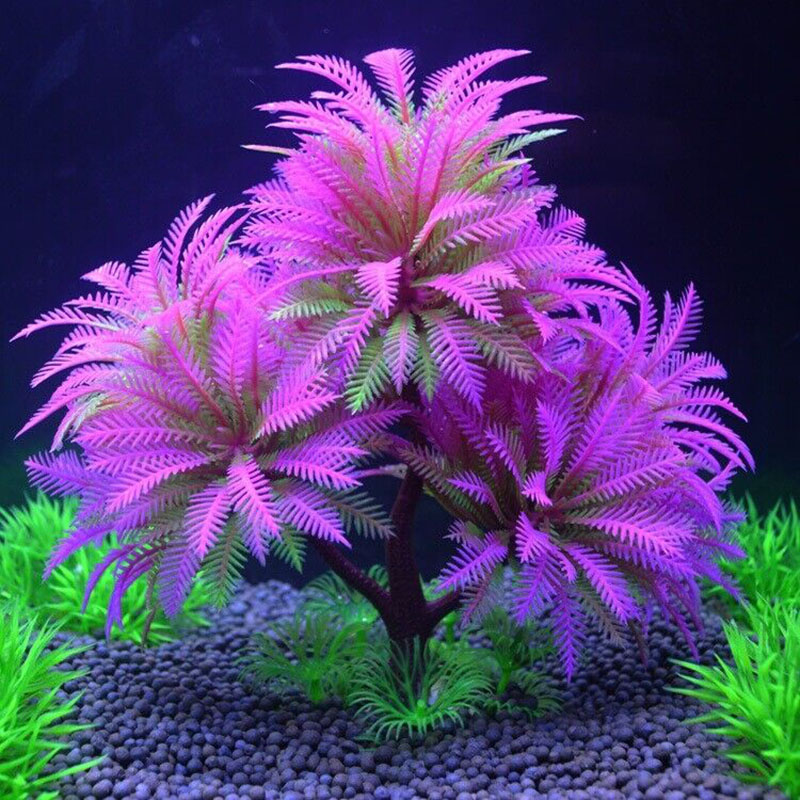 Aquarium dekorative Simulation – Aquarium Plant Guide Bewertung und Preis
