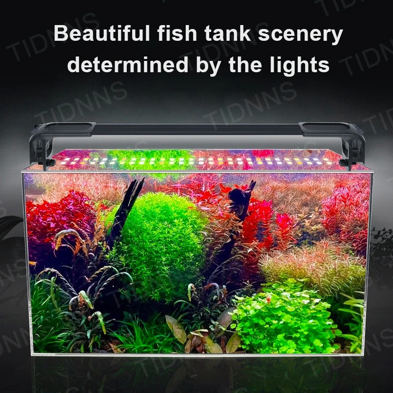Aquarium Licht Led Pflanze Wac – Planted Aquarium Equipment Bewertung und Preis