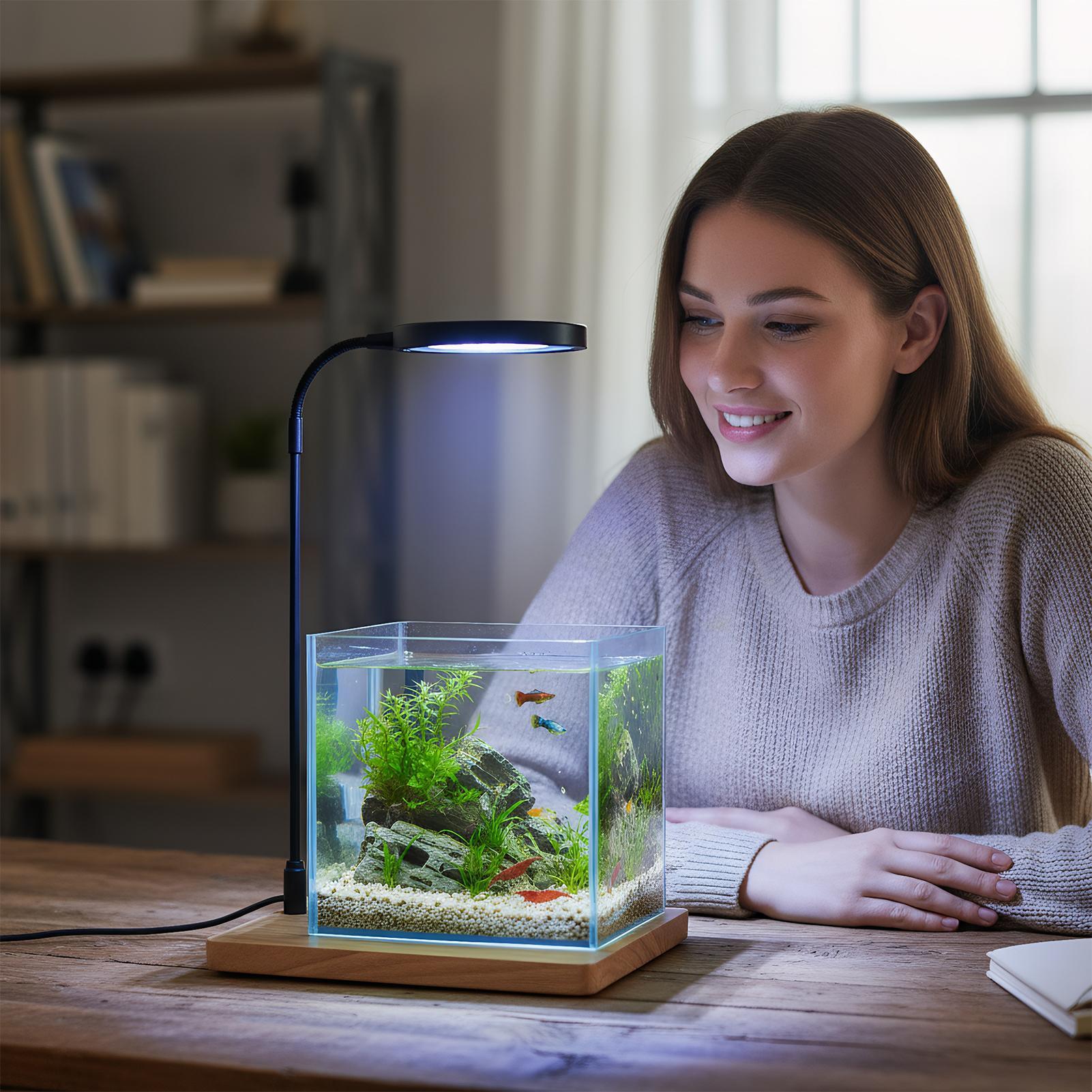 Pflanzenlichter für den Innenb – Aquarium Plant On Wood Bewertung und Preis